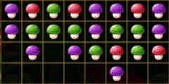 Mushroom Puzzles